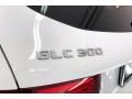 Polar White - GLC 300 Photo No. 31
