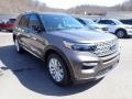 2021 Stone Gray Metallic Ford Explorer Limited 4WD  photo #3