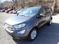 2021 Smoke Metallic Ford EcoSport SE  photo #5