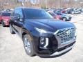 2021 Becketts Black Hyundai Palisade Limited AWD  photo #3