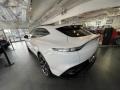 White - DBX AWD Photo No. 9