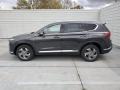 2021 Portofino Gray Hyundai Santa Fe SEL  photo #7