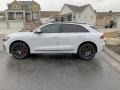 Carrara White 2019 Audi Q8 55 Prestige quattro Exterior