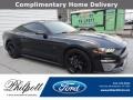 2019 Shadow Black Ford Mustang EcoBoost Fastback  photo #1