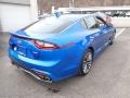 Micro Blue Pearl - Stinger Premium Photo No. 2