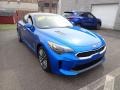 Micro Blue Pearl - Stinger Premium Photo No. 3