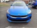 Micro Blue Pearl - Stinger Premium Photo No. 4