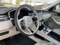 Fuji White - F-PACE P250 S Photo No. 17