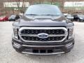 2021 Kodiak Brown Ford F150 Platinum SuperCrew 4x4  photo #4