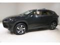Caviar - NX 300 AWD Photo No. 3