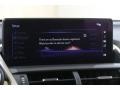 Caviar - NX 300 AWD Photo No. 12