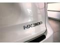 2019 Lexus NX 300 Badge and Logo Photo