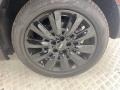 Moonwalk Gray Metallic - Countryman Cooper -Oxford Photo No. 9