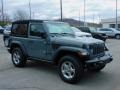 2021 Sting-Gray Jeep Wrangler Freedom Edition 4x4  photo #3