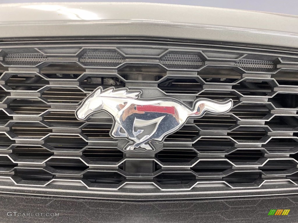 2016 Mustang EcoBoost Coupe - Magnetic Metallic / Red Line photo #8