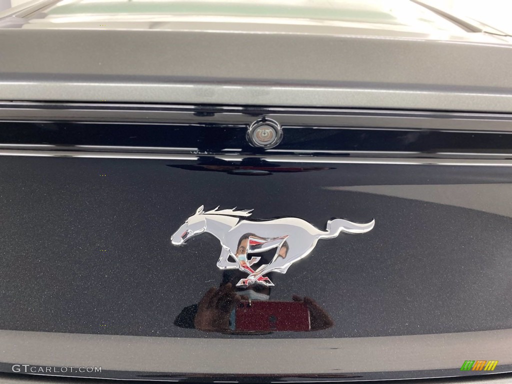 2016 Mustang EcoBoost Coupe - Magnetic Metallic / Red Line photo #10