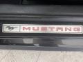 Magnetic Metallic - Mustang EcoBoost Coupe Photo No. 11