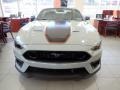 Fighter Jet Gray - Mustang Mach 1 Photo No. 2