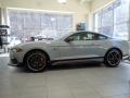 Fighter Jet Gray - Mustang Mach 1 Photo No. 3