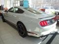 Fighter Jet Gray - Mustang Mach 1 Photo No. 4