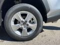 Silver Sky Metallic - RAV4 XLE AWD Photo No. 32