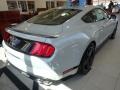 Fighter Jet Gray - Mustang Mach 1 Photo No. 6