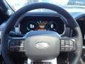  2021 F150 Platinum SuperCrew 4x4 Steering Wheel