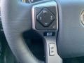 Magnetic Gray Metallic - 4Runner Limited 4x4 Photo No. 6