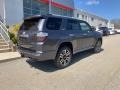 Magnetic Gray Metallic - 4Runner Limited 4x4 Photo No. 14