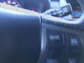 Crystal Black Pearl - RDX  Photo No. 20