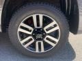 Magnetic Gray Metallic - 4Runner Limited 4x4 Photo No. 33
