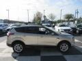 White Gold - Escape SEL 4WD Photo No. 3