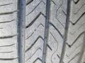 White Gold - Escape SEL 4WD Photo No. 9
