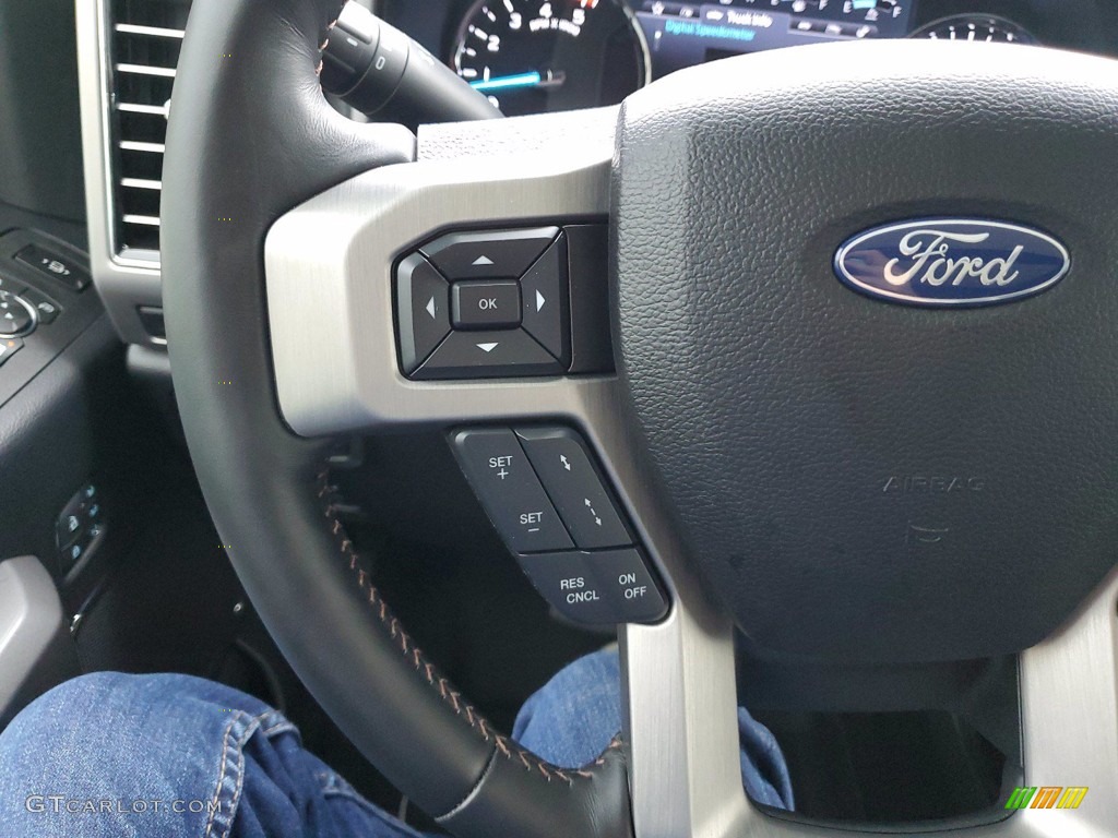 2020 F250 Super Duty Platinum Crew Cab 4x4 - Silver Spruce / Black photo #14