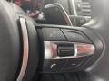 2017 BMW 2 Series Terra Interior Steering Wheel Photo