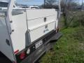 Oxford White - F350 Super Duty XL Regular Cab Chassis Photo No. 12