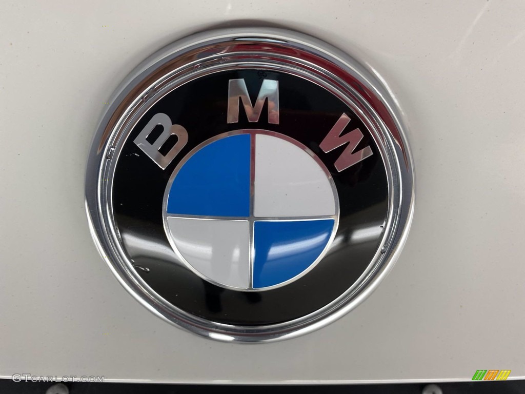 2018 X6 sDrive35i - Alpine White / Black photo #10