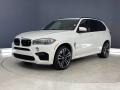 Alpine White - X5 M xDrive Photo No. 3