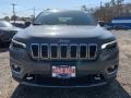 Sting-Gray - Cherokee Limited 4x4 Photo No. 3