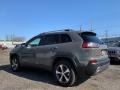 Sting-Gray - Cherokee Limited 4x4 Photo No. 6