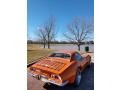 1972 Ontario Orange Chevrolet Corvette Stingray Coupe  photo #8