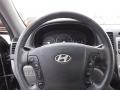 2008 Ebony Black Hyundai Santa Fe GLS 4WD  photo #19