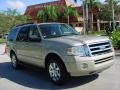 Pueblo Gold Metallic - Expedition XLT Photo No. 1
