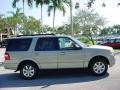 Pueblo Gold Metallic - Expedition XLT Photo No. 2