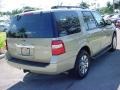 Pueblo Gold Metallic - Expedition XLT Photo No. 3