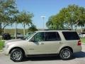 Pueblo Gold Metallic - Expedition XLT Photo No. 7