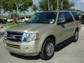 Pueblo Gold Metallic - Expedition XLT Photo No. 8
