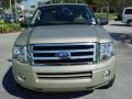 Pueblo Gold Metallic - Expedition XLT Photo No. 9