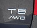2016 Volvo S60 T5 AWD Badge and Logo Photo