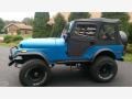 Montana Blue 1981 Jeep CJ5 4x4 Exterior
